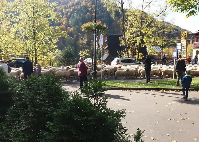 Sloneczny Szczawnica