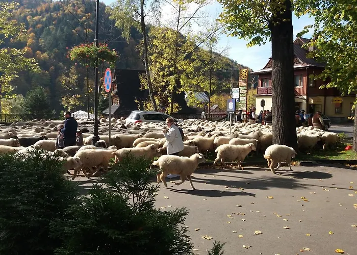 Apartamento Sloneczny